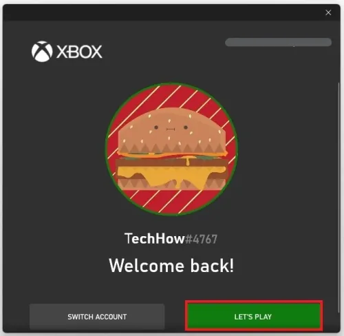 Play Minecraft without login errors