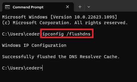 flush dns resolver cache