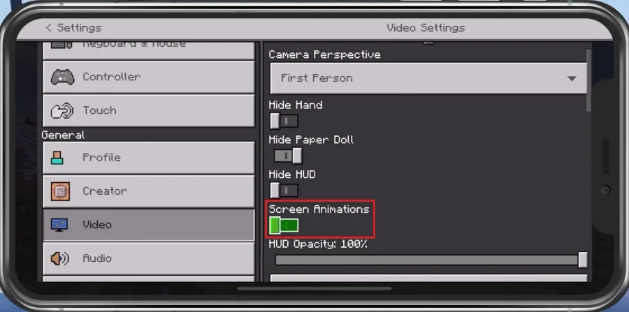 Minecraft Settings > Video