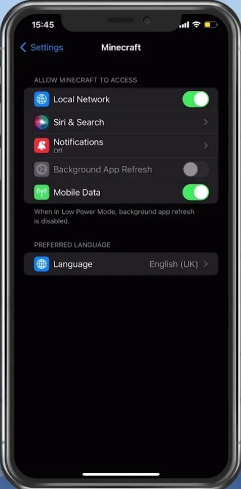 iPhone Settings > Minecraft > Mobile Data