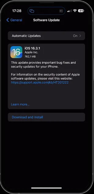 iPhone Settings > General > Software Update