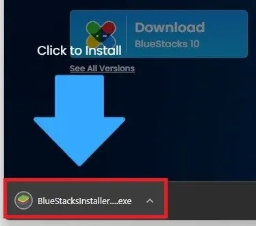 Follow the BlueStacksInstaller install wizard