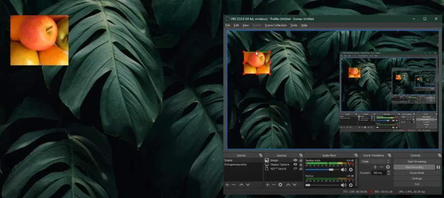 5 obs studio scaling.jpg