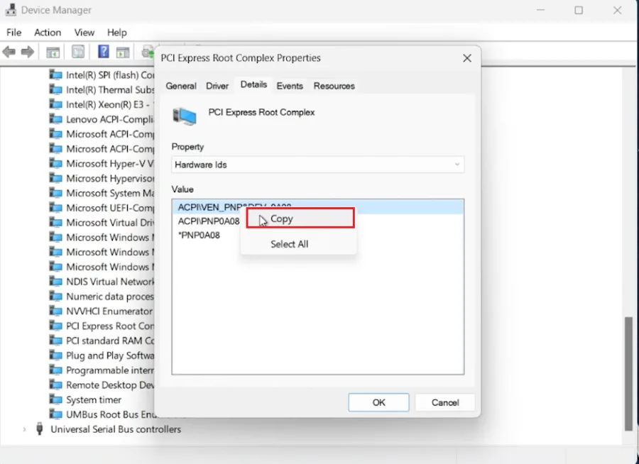 copy PCI value