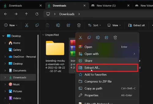 extract downloaded file