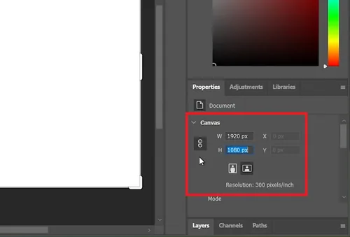 on project canvas properties
