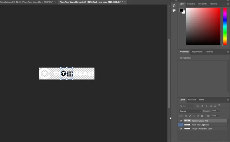 place logo file
