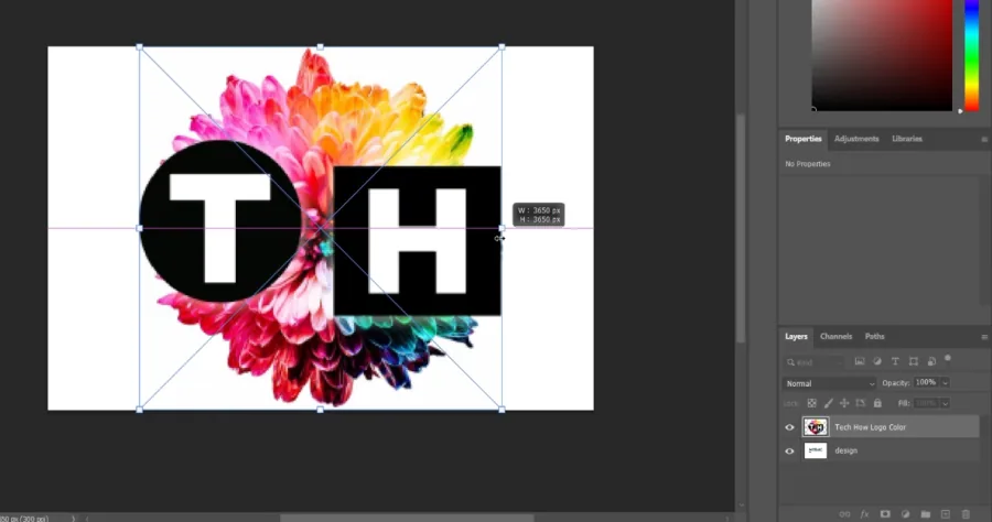 place your logo