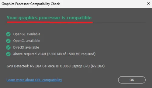 Graphics Processor Compatibility Check