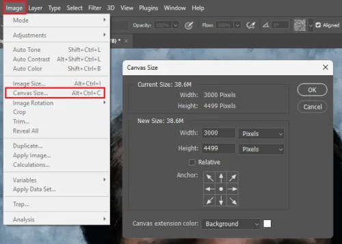 change the canvas size