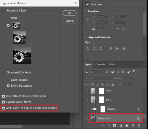 layers panel options