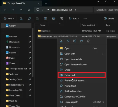extract zip file