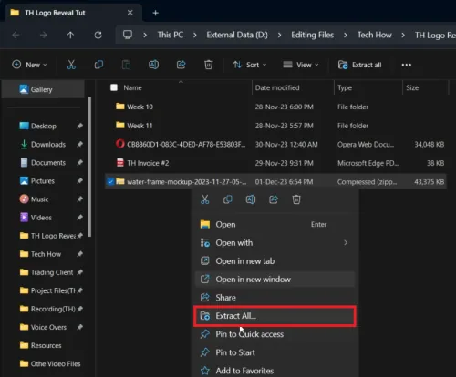 extract template file