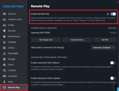 enable remote play steam settings