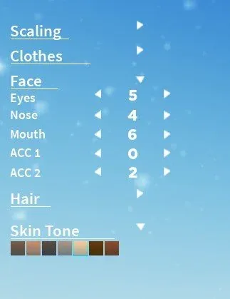 Character Face Features