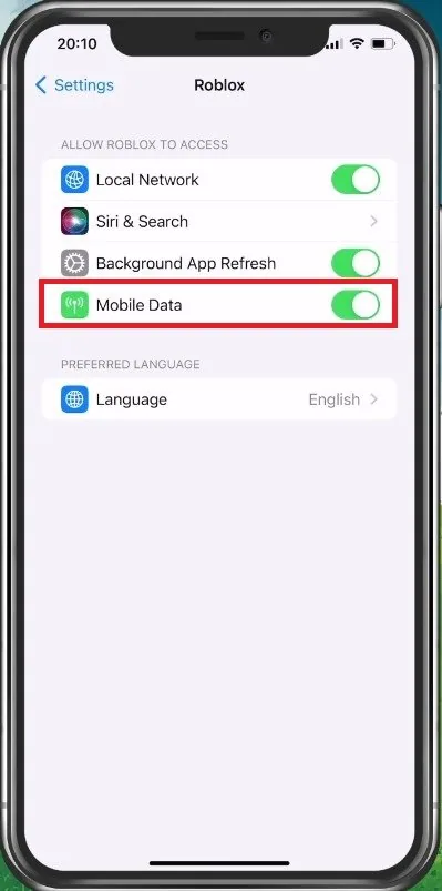 Enable Mobile Data for Roblox