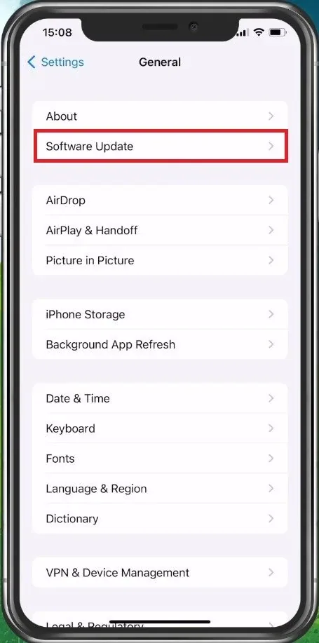 iPhone Settings > General > Software Update