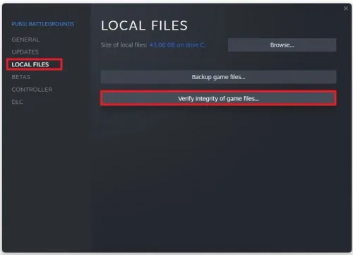 PUBG Properties > Local Files