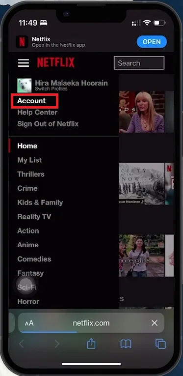 netflix account settings