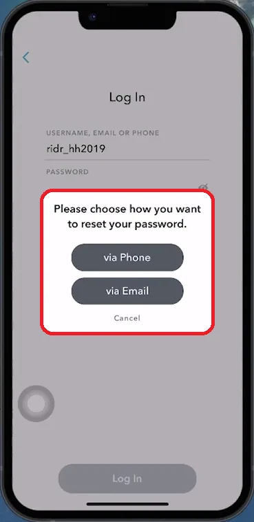 reset password