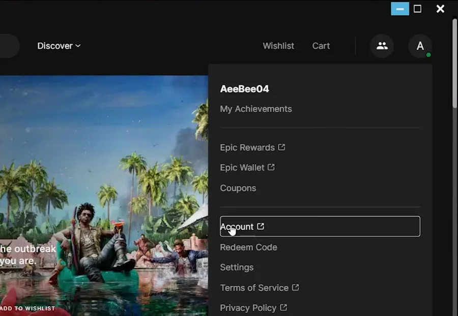 epic account settings