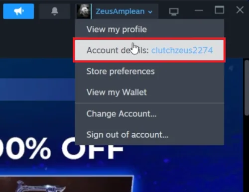 access account details