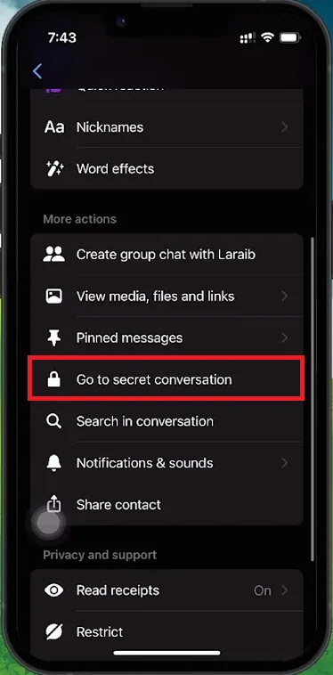 Messenger Profile > Go to secret conversation