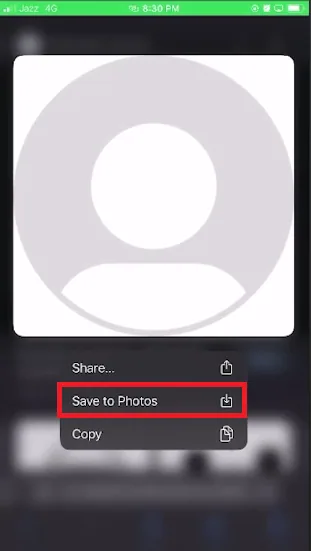 save default pp
