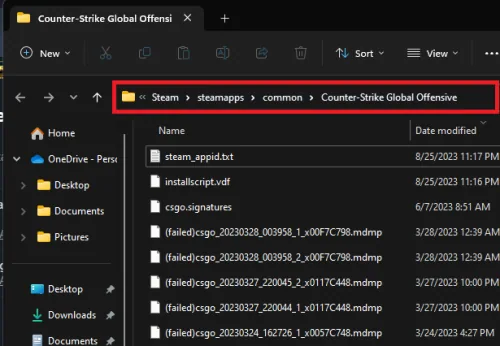 delete steam file