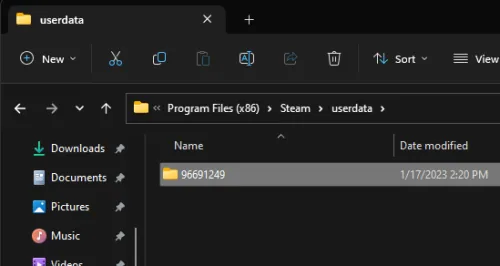 Locate your userdata Steam saves