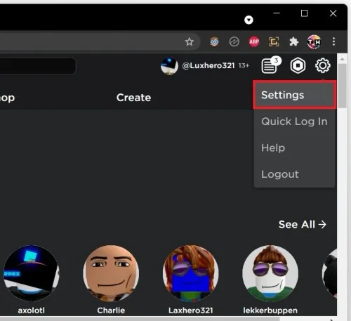 Roblox > Settings