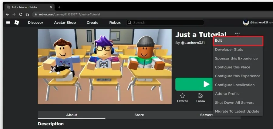 Roblox Experience > Edit