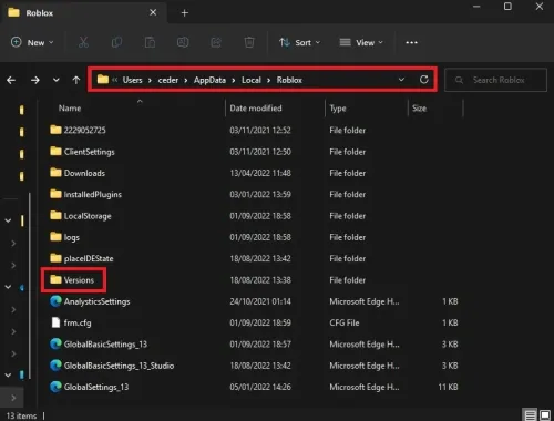 AppData > Local > Roblox > Versions
