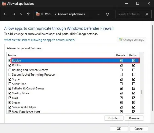 Windows Firewall > Allowed Applications