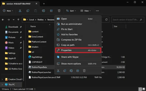 Roblox Player Beta properties access