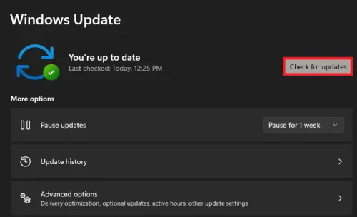 windows update