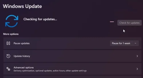 windows update