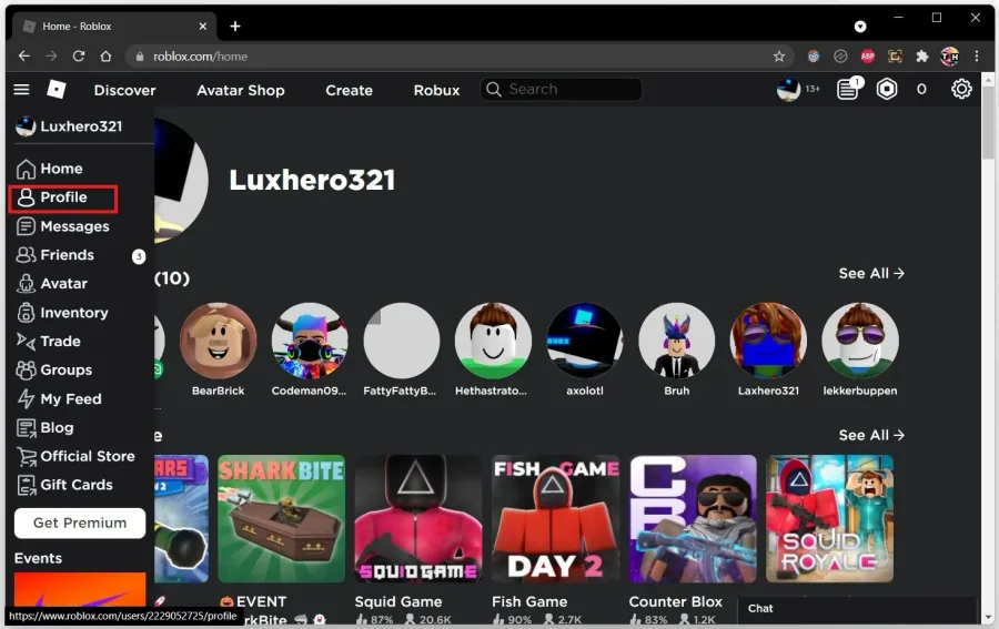 Roblox Profile