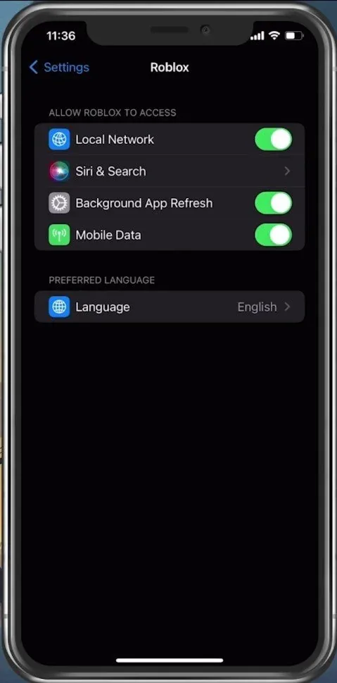 iPhone Settings > Roblox > Mobile Data