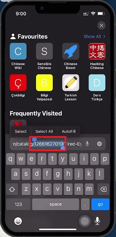 find item id