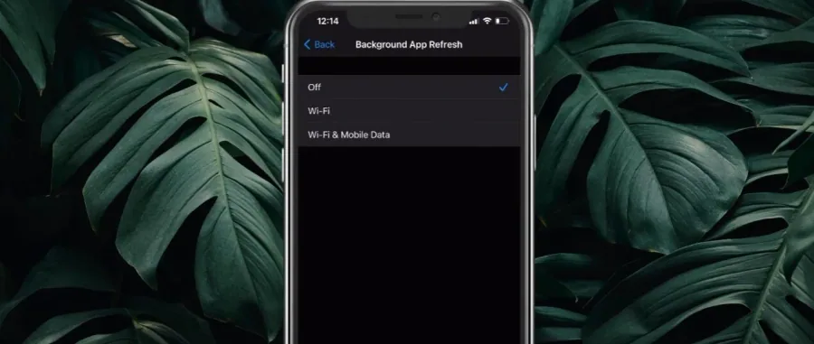 6 background app refresh.jpg