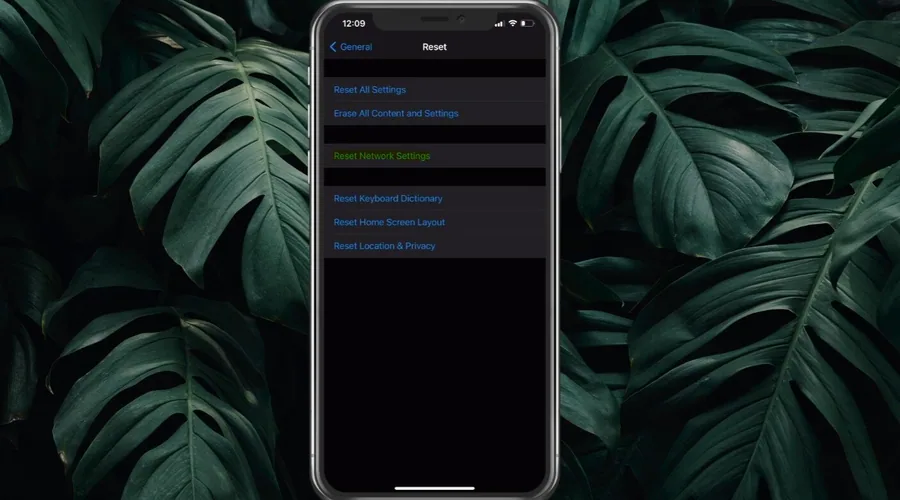 7 reset network settings.jpg
