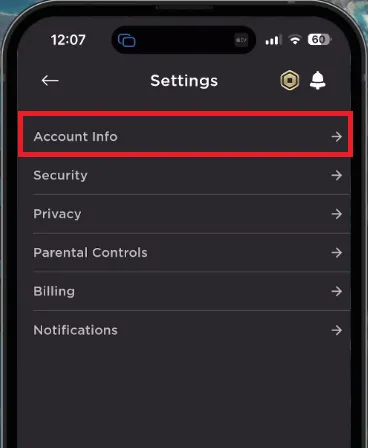 roblox settings mobile