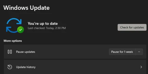 windows update