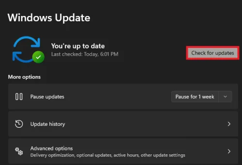 windows update