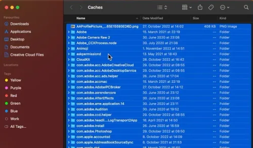 Delete the content of this folder