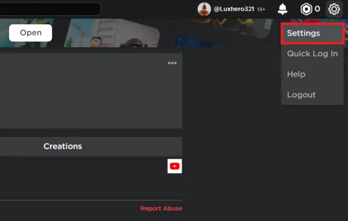 Roblox Settings