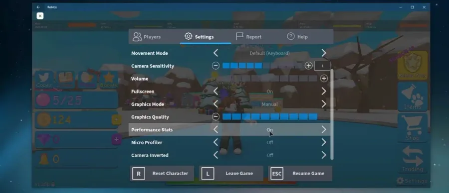 2 enable performance stats.jpg