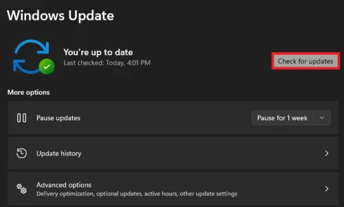 windows update
