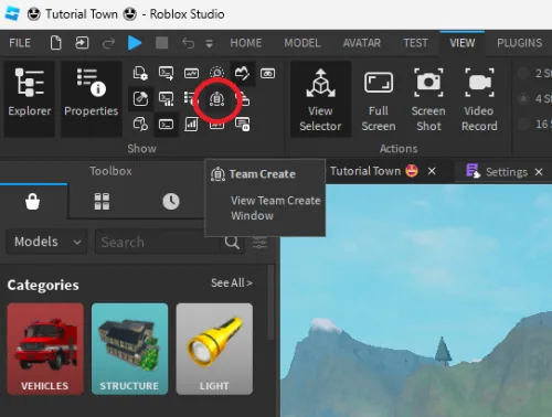 Enable Team Create for your Roblox Place